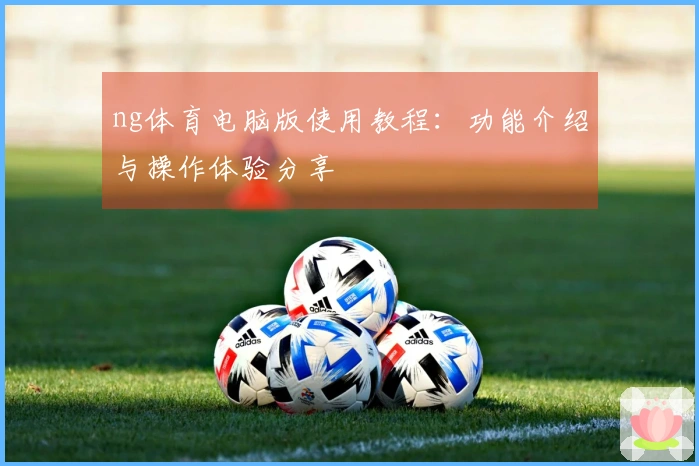 ng体育电脑版使用教程：功能介绍与操作体验分享