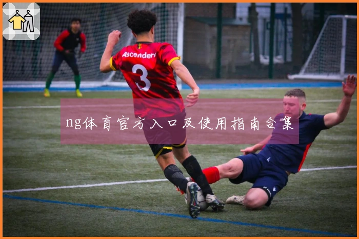 ng体育官方入口及使用指南合集