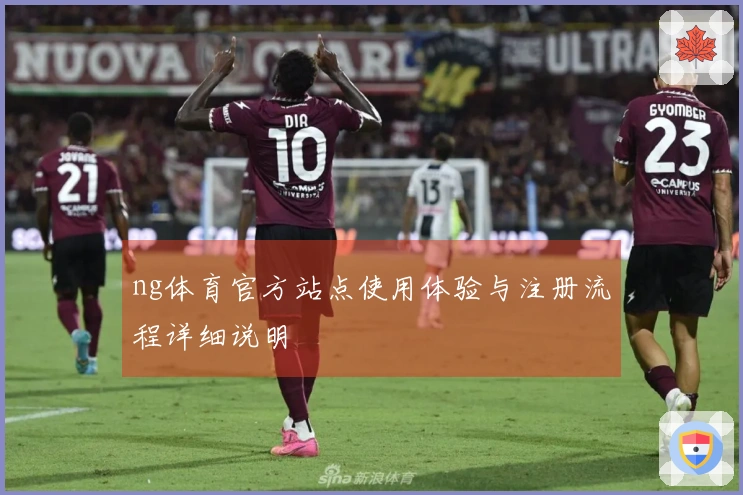 ng体育官方站点使用体验与注册流程详细说明