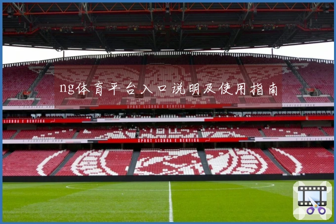 ng体育平台入口说明及使用指南