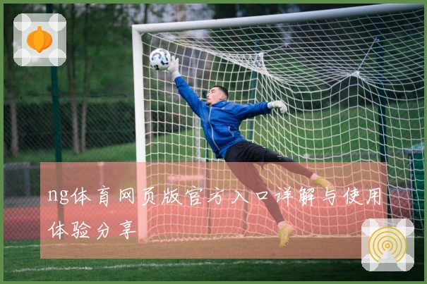 ng体育网页版官方入口详解与使用体验分享