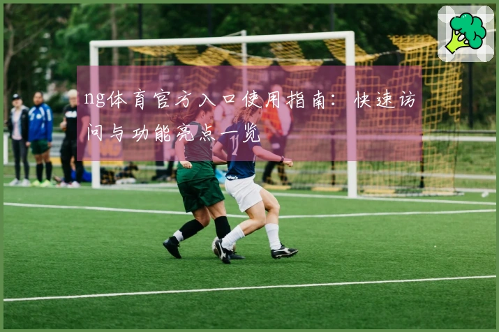ng体育官方入口使用指南：快速访问与功能亮点一览