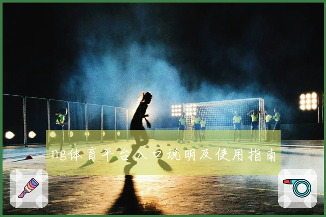 ng体育平台入口说明及使用指南